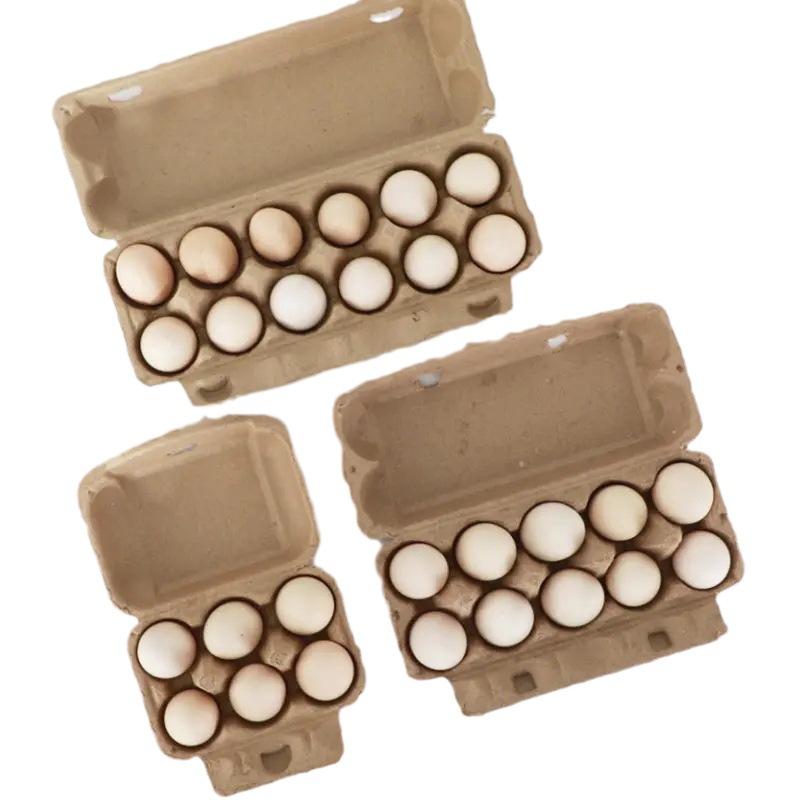 Fabricantes de cartones de huevos de pulpa de papel, venta al por mayor de bandejas de papel desechables biodegradables, bases moldeadas de papel a prueba de golpes para uso comercial image 6