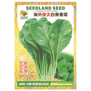 ϲ���߲˷N�ӏS��ֱ�����������ش���Nֲ   ���^��̫�׹Ǵ���