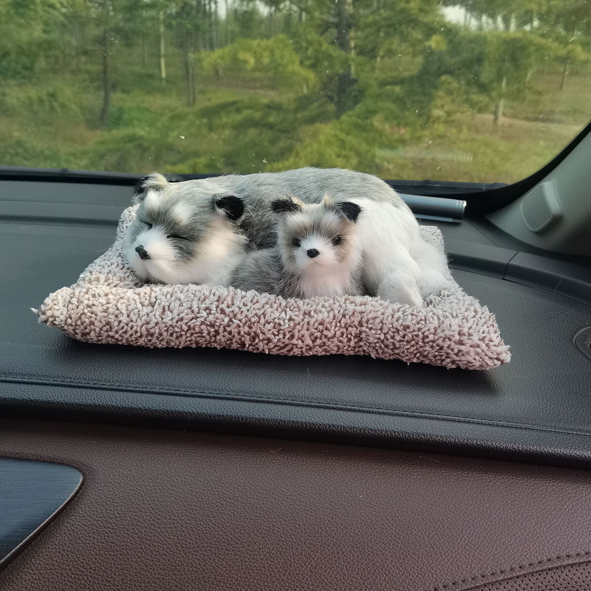 微信图片_20221002084227