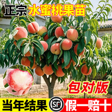 ��������ˮ���Ҙ���޽��S�Ҙ��m����Y���ϱ����Nֲ�����Ҙ����