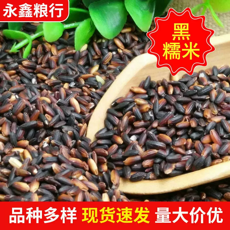 五谷粗粮新货黑糯血糯米 磨粉粥汤料食用紫红糯米 批发袋装血糯米