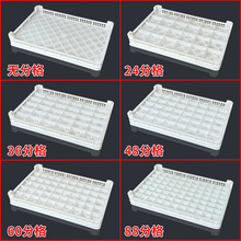 塑料分格箱单冻器烘干盘分格晾晒托盘清洗过滤筐白色螺丝零件分类