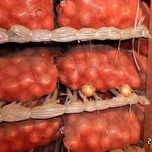 ���س�������������[ ��챣�r���[���SƤ���[���tƤ���[����Ƥ