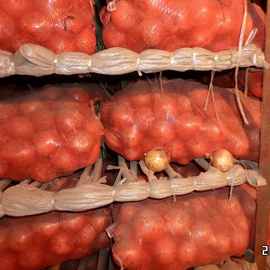 蒜;洋葱;其他农业