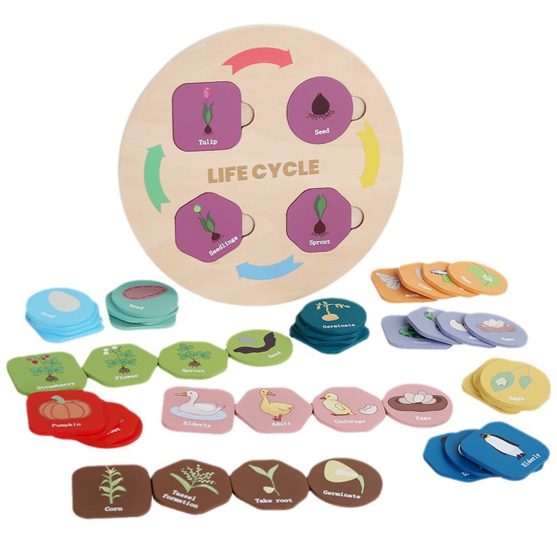 Bandeja de ciclo de crecimiento de madera transfronteriza juguetes pequeños juguetes de iluminación para niños educación temprana educativa deducción juguetes adornos