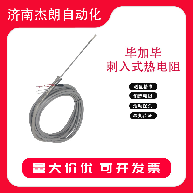 毕加毕PT100精密性热电阻温度传感器 单芯直型硅橡胶导线热电阻