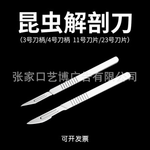 ���P䓽��ʵ�������ʌ�򞹤���������Ľ̌W�x���˱���������