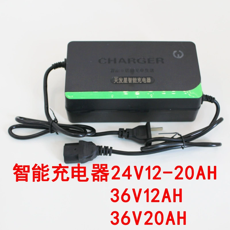 36V Volt 12AH20ah40a an 24v12 зарядное устройство Электрический аккумулятор двухколесный трехколесный велосипед Tianneng сверхмощное инвалидное кресло