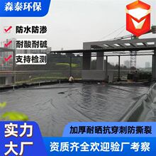 ����ϩ����Ĥ��ˮ����ֳ����ˮ��©Ĥ�ӵ�ˮ����ˮ��hdpe����Ĥ