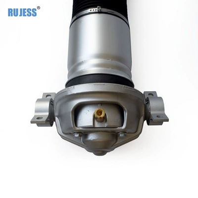 Suspension Shock Absorber – Reducer assembly