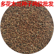 ໨ľmNl໨ľmNѹľԴֲﶹƷN໨ľmN