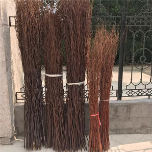 ������֦�r֦������֦��ɣ���P������������b��B����c���T����