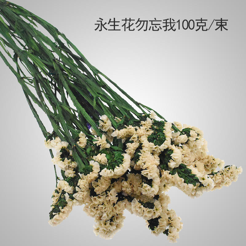 鲜花 花艺制品今天报价走势分析 塑料水草商场装饰家居仿真花 阿里巴巴 鲜花 花艺制品今天报价走势分析 塑料水草商场装饰家居仿真花 阿里巴巴