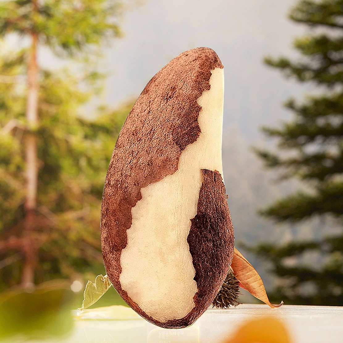 Оптовый абалоновый плод оригинальный вкус 50 г, ручная чистка, крупный Xinjiang desert fruit орех, новогодняя закуска, specialty Xinjiang