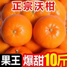 武鸣沃柑新鲜应季水果维c桔子橘子薄皮甜批发厂家直发厂家代发