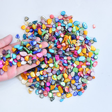 贝壳散颗粒儿童手工diy制作自然材料配件幼儿园美工区区域材料