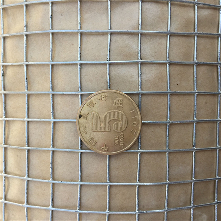 厂家直销 热镀锌电焊网 铁丝网 鸽笼兔笼鸡笼狗笼蛇笼养殖网