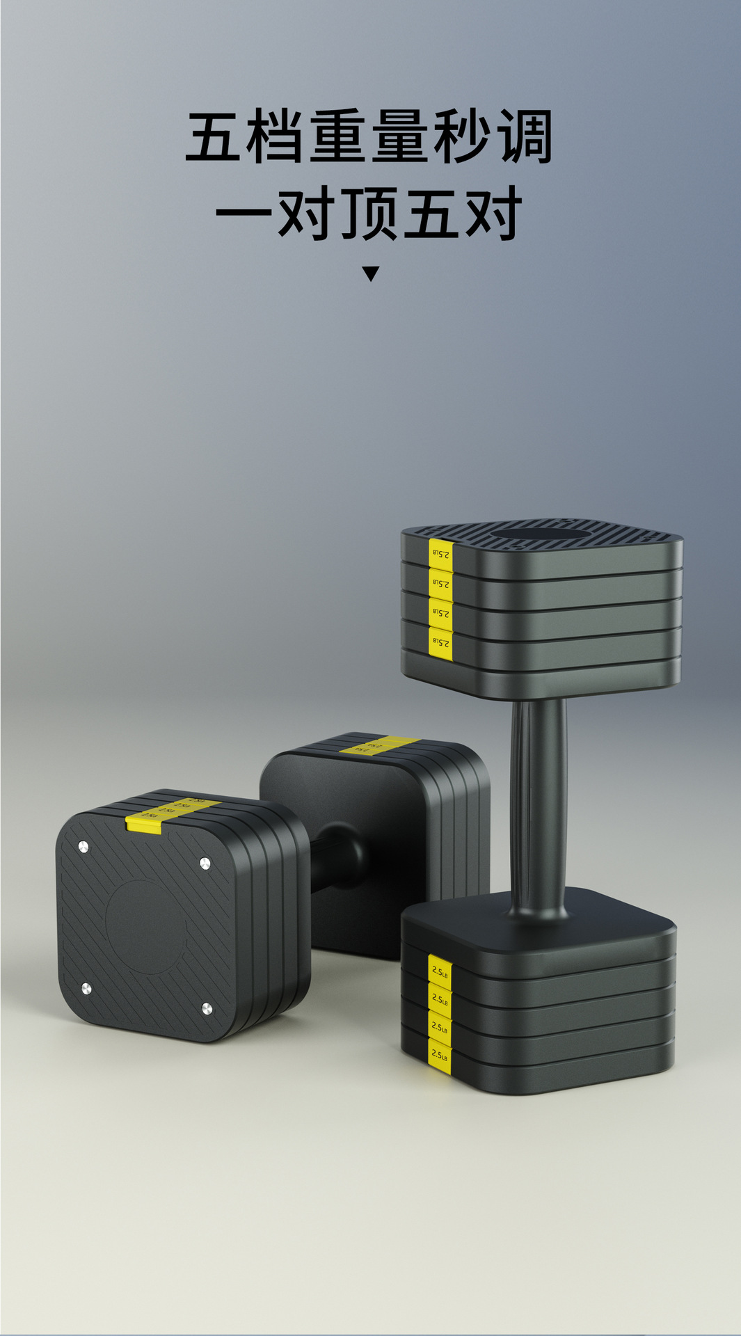 Adjustable Dumbbells Solid Cast Iron Plates Men Women Home Fitness Equipment Set
