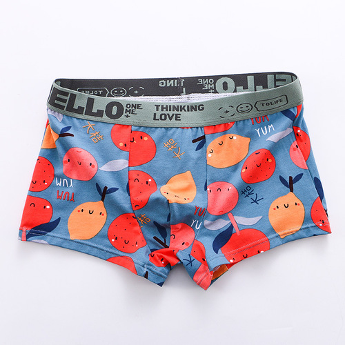 Cannon print boxer men's underwear men's underwear mid-waist boxer briefs boxer briefs national fashion sports one piece drop shipping