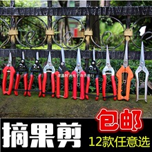 ���Ѳɹ������߹���֦��֦ժ����@ˇ�����޹�����ժˮ����������
