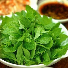云南新鲜薄荷叶可食用薄荷留兰香泡水奶茶店装饰鸡尾酒烘焙可吃厂