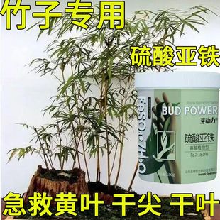 Bamboo Fertilizer Red Bamboo Rice Bamboo Arhat Bamboo Bamboo Fertilizer Ferrous Sulfate to Regulate Soil and Prevent Yellow Leaves Universal