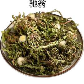 cAm中药材蒲公英野生蒲公英茶蒲公英新鲜浦公英干100g500g10