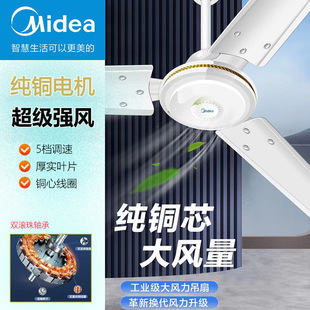 Midea Ceiling Fan Engineering Fan Electric Fan 1.2m Iron Blade Household 48inch Living Room Ceiling Fan Fc120-Ba