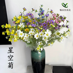 ���l�@�Ƶ��c�廨��@СҰ�������S���Ϸ��滨��ɣ���ǿղ�˹��