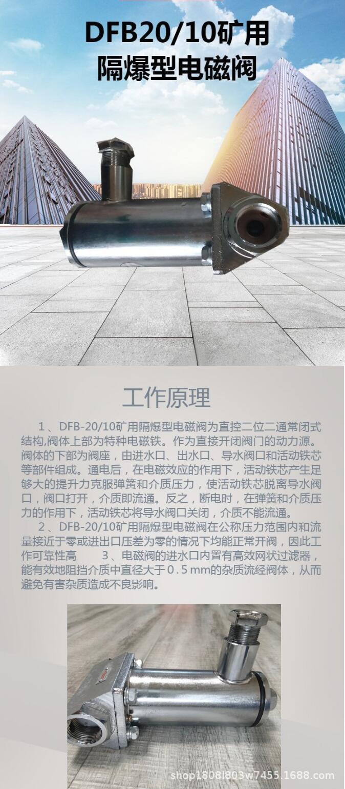DFB20电磁阀_1.jpg