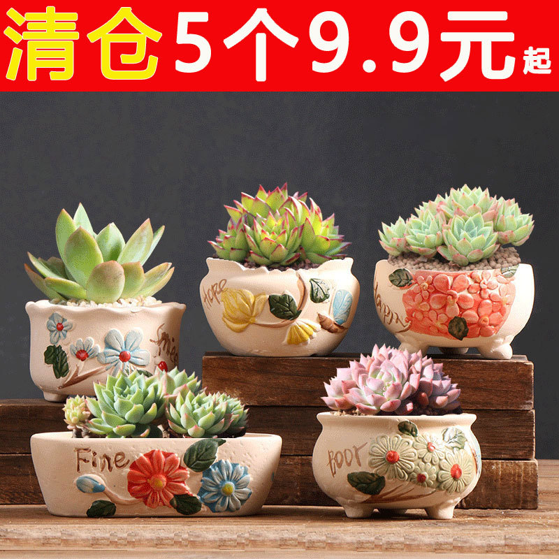 Macetas suculentas Macetas de cerámica Oferta especial Creativo Macetas especiales para plantas de carne pequeña Venta al por mayor Venta directa de fábrica Macetas de cerámica