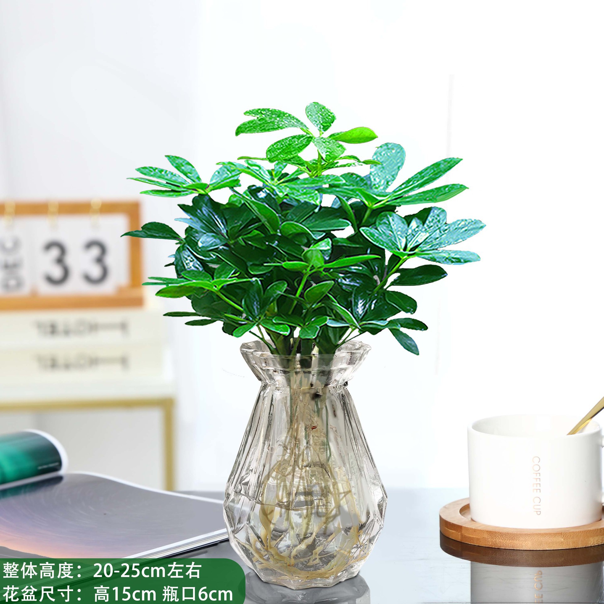 바팡라이카이 한 냄비에 다이아몬드 4개 [다이아몬드 유리병] + 영양액