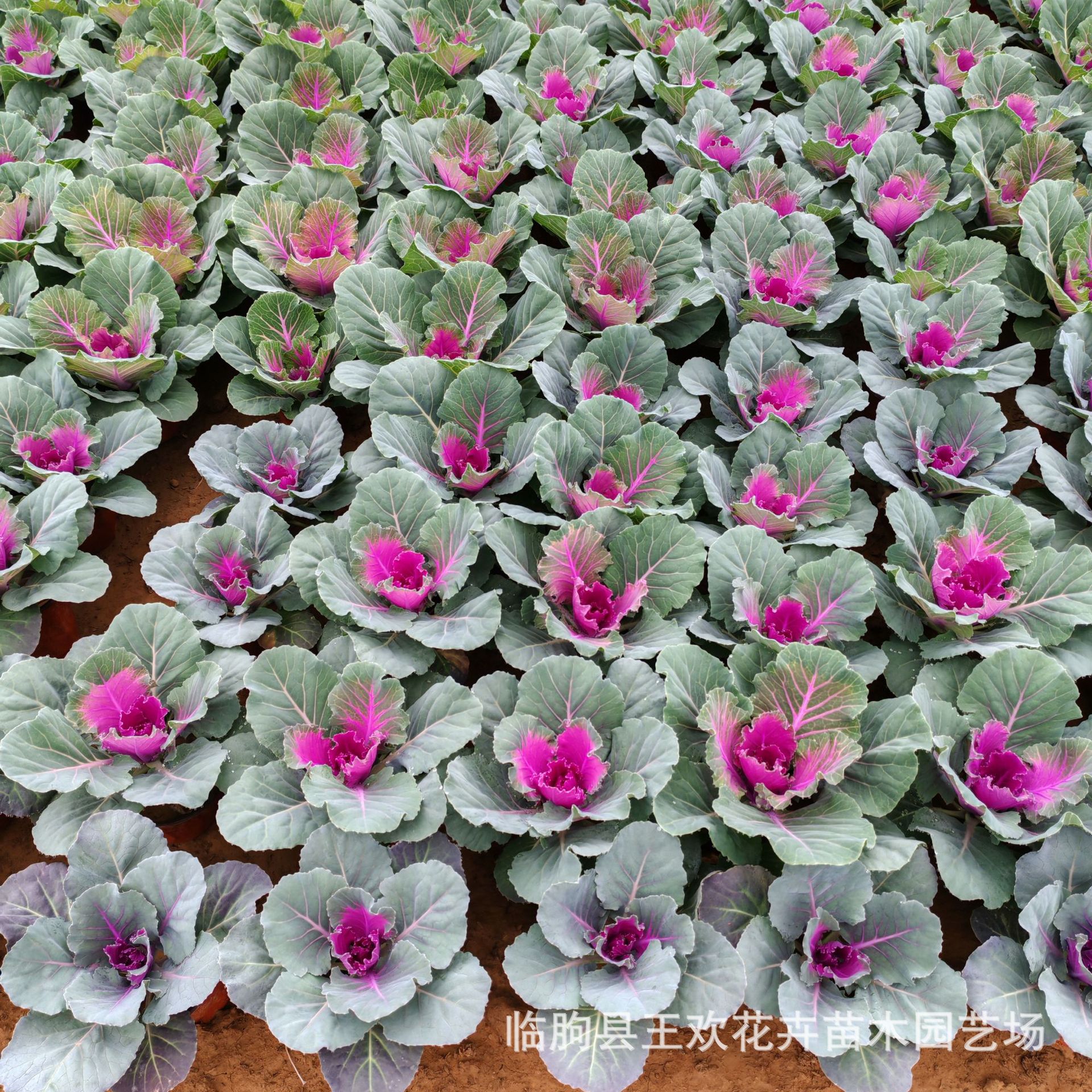 fda8bda9-3501-4377-a116-2b92ae