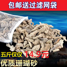 厂家批发珊瑚石 珊瑚骨 珊瑚砂鱼缸滤材 水族过滤材料珊瑚砂
