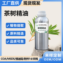 澳洲茶树精油互叶白千层油植物提取护理单方油化妆品原料厂家批发