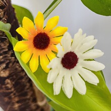 �������տ����^���滨 �^�С̫ꖻ��ٻ��h���b������l����