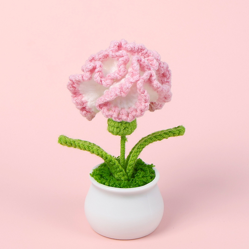 Carnation pot planting-gradiente pow