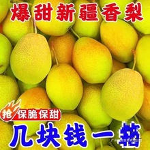 �½��젖���������rˮ������3/5/10�ﱡ���摪���t�����������ؼ�