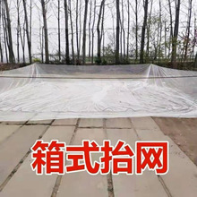 �ߏ�������~�W�Bֳ���ƃ���ƽ���������p�@�~�ŗ�W