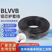 �ӹ�����BLVVB������ϩ�^���o�� ��ȼ늾��X���l������|�Xо