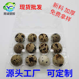 厂家批发 吸塑禽蛋包装 12枚鹌鹑蛋托盘一次性禽蛋打包托量大从优