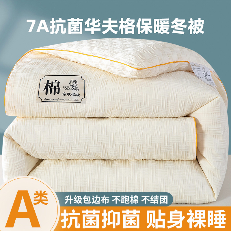 Super Soft Soy Fiber Quilt Thickened Antibacterial Winter Quilt Student Dormitory Quilt Gift Quilt Wholesale Spring and Autumn Quilt Core