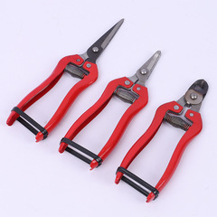 Wholesale garden fruit tree thick branch long branch scissors fruit serrated orchard scissors agricultural thin fruit thin flower vegetable and fruit scissors