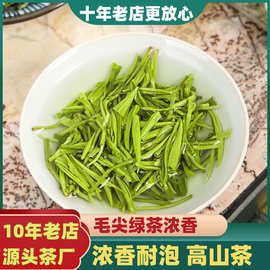 2026年新茶毛尖绿茶茶叶高山嫩芽散装浓香型250g礼盒罐装清香