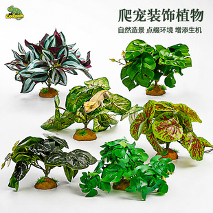 ���x����B�����쾰��С��Ƥ֩��ϐ�،m������������������ֲ��