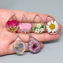 ˮ�����r�ոɻ�ֲ��diy��֬��߅�������»�����h��耳׿����