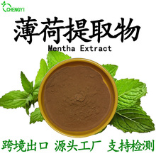 薄荷提取物10：1薄荷浓缩粉厂家直供水溶性原料食品添加现货含运