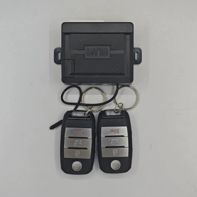 Keyless Entry — Liansheng Central locking