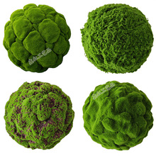 ����̦�\�򙻴�����[�O�҃��b���̦��Gɫ����Ƶ���ܛ�b���