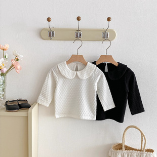 ins2025���b�n��냺�ɐ������I�L�������������T���������